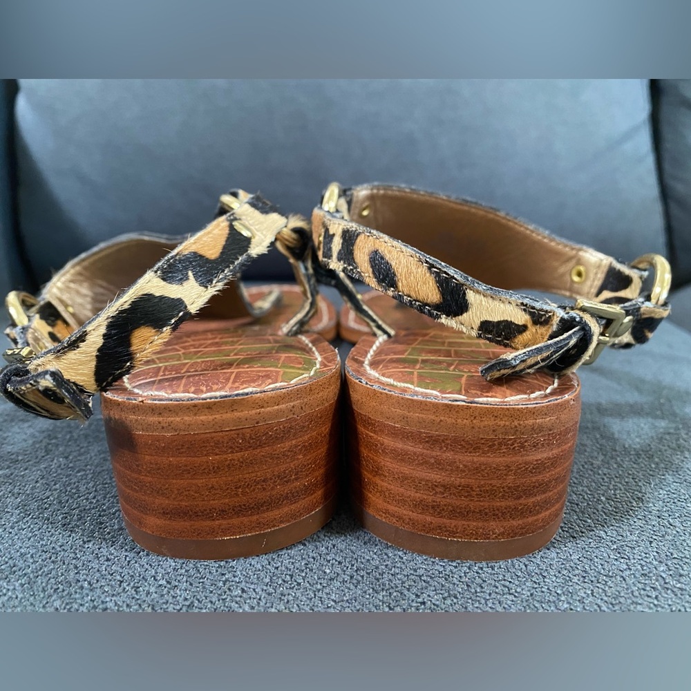 Sam Edelman Jude Leopard Print Calf Hair Thong Sandal - Picture 6 of 16